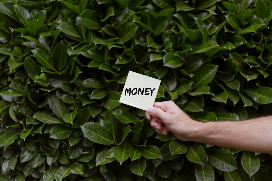 A hand holding a small white sticky note with the word 'MONEY' written in bold black letters, positioned against a dense, well-maintained hedge composed of lush, dark green, glossy leaves. The hedge f